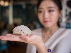 Ảnh bìa bài viết 880548