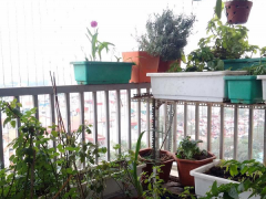 Ảnh bìa bài viết 880980