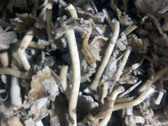 Ảnh bìa bài viết 881154