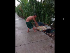 Ảnh bìa bài viết 881331