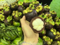 Ảnh bìa bài viết 881315