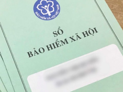 Ảnh bìa bài viết 881501