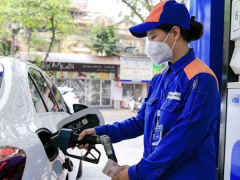 Ảnh bìa bài viết 881411