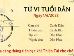 Ảnh bìa bài viết 881513