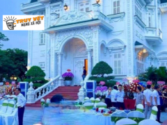 Ảnh bìa bài viết 882448