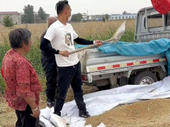Ảnh bìa bài viết 882732