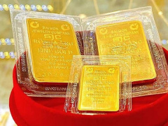 Ảnh bìa bài viết 882843