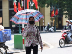 Ảnh bìa bài viết 883143