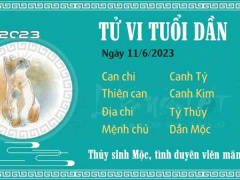 Ảnh bìa bài viết 883127