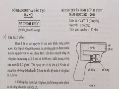 Ảnh bìa bài viết 883406