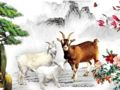 Ảnh bìa bài viết 883439