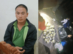 Ảnh bìa bài viết 883739