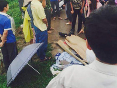 Ảnh bìa bài viết 883691
