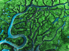 Ảnh bìa bài viết 883663