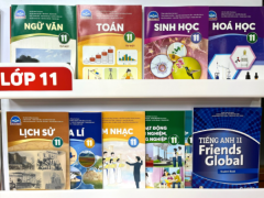 Ảnh bìa bài viết 883778