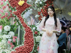 Ảnh bìa bài viết 883944