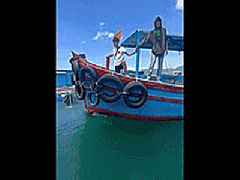 Ảnh bìa bài viết 884121