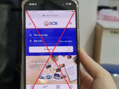 Ảnh bìa bài viết 884119