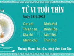 Ảnh bìa bài viết 884202