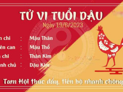 Ảnh bìa bài viết 884342