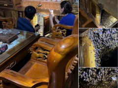 Ảnh bìa bài viết 884656