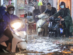Ảnh bìa bài viết 884788