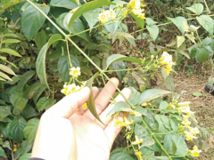 Ảnh bìa bài viết 885190