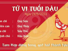 Ảnh bìa bài viết 885076
