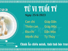 Ảnh bìa bài viết 885223