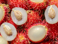 Ảnh bìa bài viết 885439