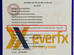 Ảnh bìa bài viết 885638