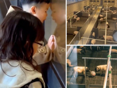 Ảnh bìa bài viết 885952