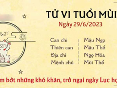 Ảnh bìa bài viết 885846