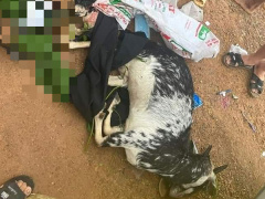 Ảnh bìa bài viết 886266