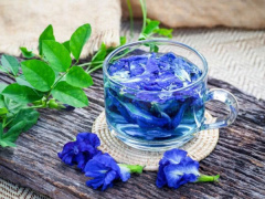 Ảnh bìa bài viết 886276