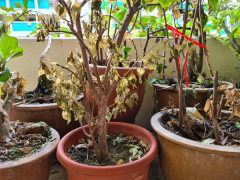 Ảnh bìa bài viết 886357