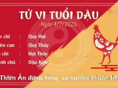 Ảnh bìa bài viết 886633