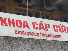 Ảnh bìa bài viết 887384