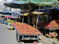 Ảnh bìa bài viết 887476