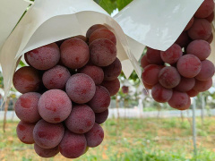 Ảnh bìa bài viết 887554