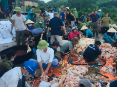 Ảnh bìa bài viết 887636