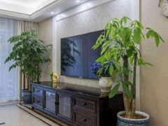 Ảnh bìa bài viết 887736