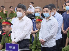 Ảnh bìa bài viết 887884
