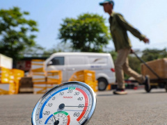 Ảnh bìa bài viết 887887