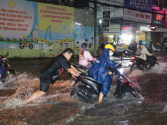 Ảnh bìa bài viết 888386