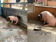 Ảnh bìa bài viết 888303