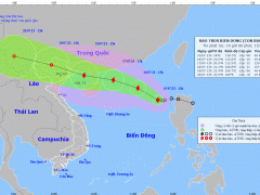 Ảnh bìa bài viết 888482