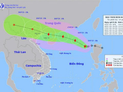 Ảnh bìa bài viết 888510