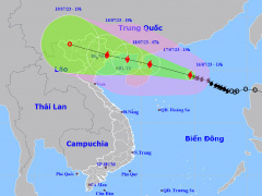 Ảnh bìa bài viết 888664
