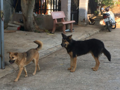 Ảnh bìa bài viết 888669